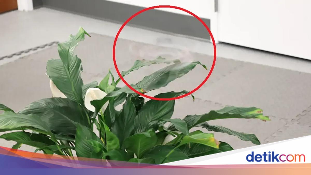 Drone Tak Kasat Mata Berhasil Dibuat, Militer Diprediksi Bakal Tertarik
