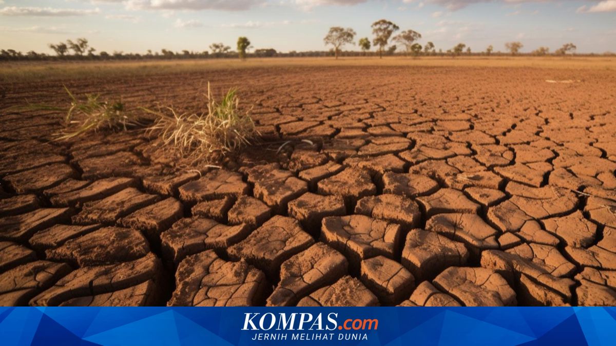 El Nino 2026: Faktor Tersembunyi di Balik Dampaknya di Indonesia