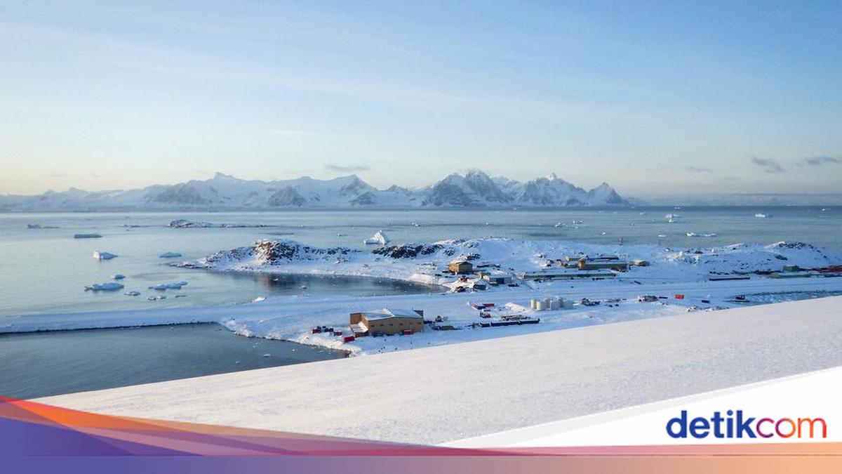 Insiden Antartika: Peneliti Korea Selatan Mengancam Rekan dengan Pisau
