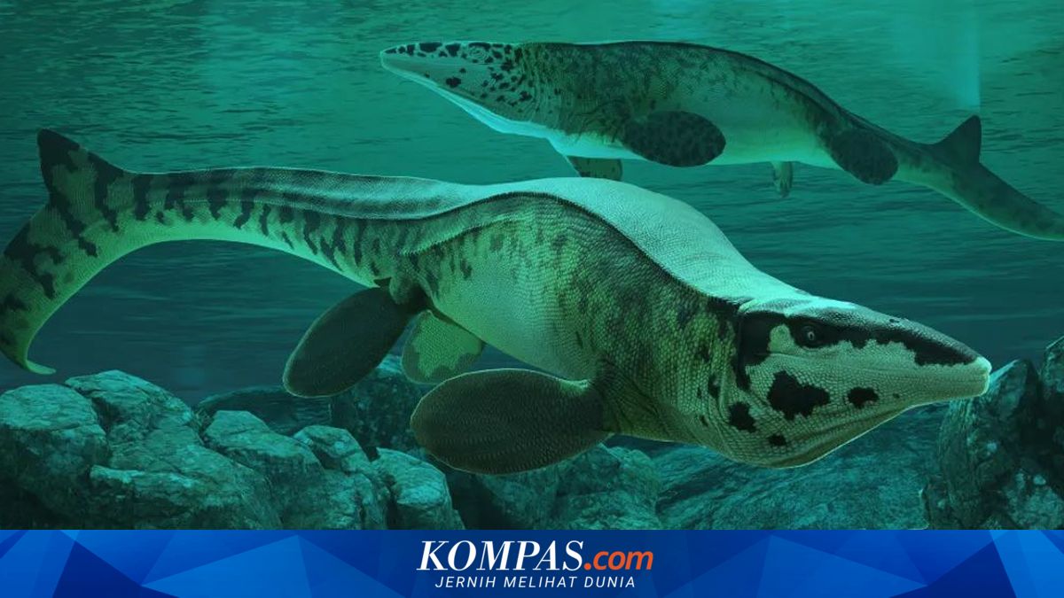 Tylosaurus rex, Raja Laut Purba yang Mengalahkan T. rex